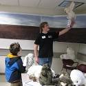 Students learn about the Arctic as an outreach activity is demonstrated.